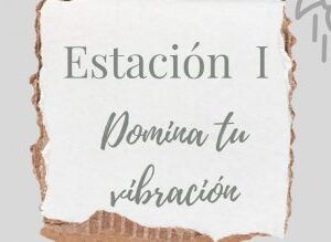 Domina tu vibracion: la clave para una vida equilibrada.