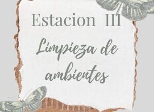 Estación 3: Limpieza de ambientes